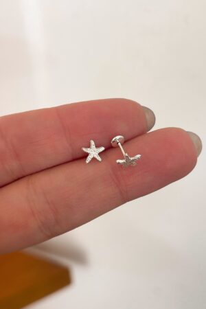 AB-2 Estrella de Mar new