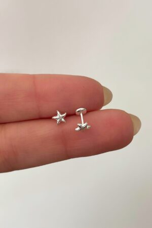 AB-1 Estrella de mar