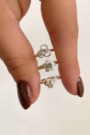 Anillo Nena Fundicion