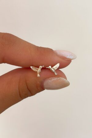 Mini colibri