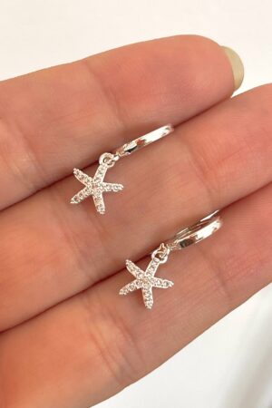Estrellitas de mar