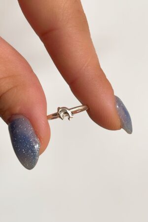 Anillo Nena Delfin